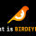 【Birdeye】Solana用チャートアプリ徹底解説